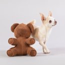 Paikka Hundespielzeug Teddy