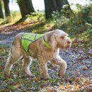 Hunter Hunde Warnweste