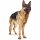 Hunter Maulkorb Albury Schwarz 1