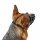 Hunter Maulkorb Albury Schwarz 3