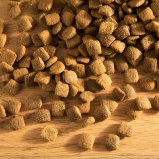 Hubertus Gold Premium-Trockenvollkost- jetzt online kaufen! - fellby.