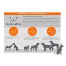 WowWow Hundehalsband mit integrierter Leine T&uuml;rkis