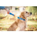 WowWow Hundehalsband mit integrierter Leine T&uuml;rkis 37-46cm Halsumfang