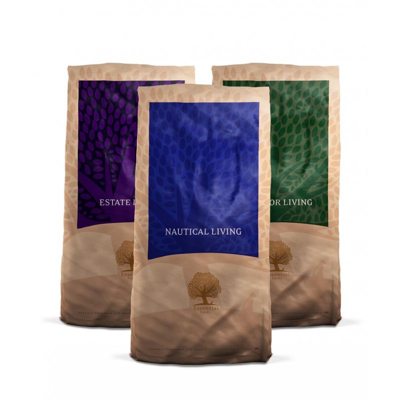 Essential Foods The Classic Taste Box XXL 3x12 kg