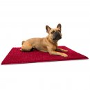 Hunter Schmutzfang-Hundematte Waterloo Rot