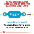 ROYAL CANIN Labrador Retriever Puppy Welpenfutter trocken 12 Kg