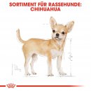 ROYAL CANIN Chihuahua Adult Hundefutter trocken 1,5 Kg