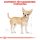 ROYAL CANIN Chihuahua Adult Hundefutter trocken 1,5 Kg