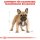 ROYAL CANIN French Bulldog Adult Hundefutter trocken für Französische Bulldoggen 3 Kg