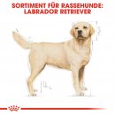 ROYAL CANIN Labrador Retriever Adult Hundefutter trocken 12 Kg