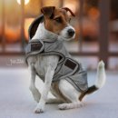 Kentucky Dogwear Hundemantel Reflektierend &...