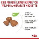 ROYAL CANIN X-SMALL Puppy Trockenfutter f&uuml;r Welpen sehr kleiner Hunderassen 1,5 Kg