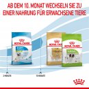 ROYAL CANIN X-SMALL Puppy Trockenfutter f&uuml;r Welpen sehr kleiner Hunderassen 1,5 Kg