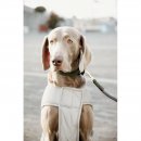 Kentucky Dogwear Hundemantel Reflektierend &amp; Wasserabweisend Bauchlatz Silber L