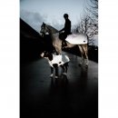Kentucky Dogwear Hundemantel Reflektierend &amp; Wasserabweisend Bauchlatz Silber L