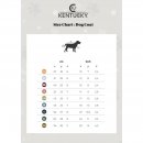 Kentucky Dogwear Hundemantel Reflektierend &amp; Wasserabweisend Bauchlatz Silber L