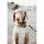 Kentucky Dogwear Hundemantel Reflektierend & Wasserabweisend Bauchlatz Silber L