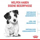 ROYAL CANIN MINI Puppy Trockenfutter f&uuml;r Welpen kleiner Hunderassen 2 Kg