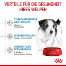 ROYAL CANIN MINI Puppy Trockenfutter f&uuml;r Welpen kleiner Hunderassen 2 Kg