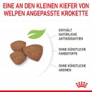 ROYAL CANIN MINI Puppy Trockenfutter f&uuml;r Welpen kleiner Hunderassen 2 Kg