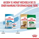 ROYAL CANIN MINI Puppy Trockenfutter f&uuml;r Welpen kleiner Hunderassen 2 Kg