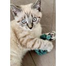 Kater Kasimir Katzenspielzeug Katzenangel mit handgekn&uuml;pfter Makramee-Feder
