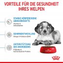 ROYAL CANIN MEDIUM Puppy Trockenfutter f&uuml;r Welpen mittelgro&szlig;er Hunderassen 15 Kg