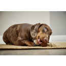 Wolters Spielball am Seil  Pure Ockerbraune Beige  L