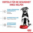 ROYAL CANIN MAXI Puppy Trockenfutter f&uuml;r Welpen gro&szlig;er Rassen 15 Kg