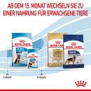 ROYAL CANIN MAXI Puppy Trockenfutter f&uuml;r Welpen gro&szlig;er Rassen 15 Kg