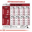 ROYAL CANIN MEDIUM Adult Trockenfutter f&uuml;r mittelgro&szlig;e Hunde 15 Kg