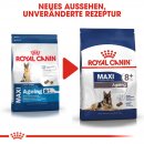 ROYAL CANIN MAXI Ageing 8+ Trockenfutter f&uuml;r &auml;ltere gro&szlig;e Hunde 15 Kg