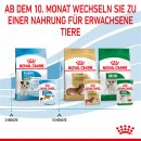 ROYAL CANIN MINI Puppy Welpenfutter nass f&uuml;r kleine Hunde bis zum 10. Monat 12x85 g