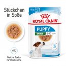 ROYAL CANIN MINI Puppy Welpenfutter nass f&uuml;r kleine Hunde bis zum 10. Monat 12x85 g