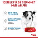 ROYAL CANIN MINI Puppy Welpenfutter nass f&uuml;r kleine Hunde bis zum 10. Monat 12x85 g