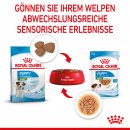 ROYAL CANIN MINI Puppy Welpenfutter nass f&uuml;r kleine Hunde bis zum 10. Monat 12x85 g