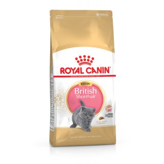 ROYAL CANIN British Shorthair Kittenfutter trocken für BKH Kätzchen 2 Kg