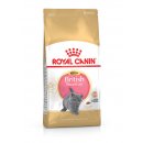 ROYAL CANIN British Shorthair Kittenfutter trocken f&uuml;r BKH K&auml;tzchen 2 Kg