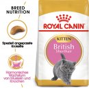 ROYAL CANIN British Shorthair Kittenfutter trocken f&uuml;r BKH K&auml;tzchen 2 Kg