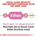 ROYAL CANIN British Shorthair Kittenfutter trocken f&uuml;r BKH K&auml;tzchen 2 Kg