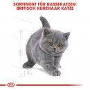 ROYAL CANIN British Shorthair Kittenfutter trocken f&uuml;r BKH K&auml;tzchen 2 Kg