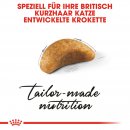 ROYAL CANIN British Shorthair Kittenfutter trocken f&uuml;r BKH K&auml;tzchen 2 Kg