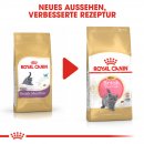 ROYAL CANIN British Shorthair Kittenfutter trocken f&uuml;r BKH K&auml;tzchen 2 Kg