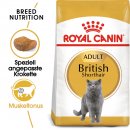 ROYAL CANIN British Shorthair Katzenfutter trocken f&uuml;r Britisch Kurzhaar 2 Kg