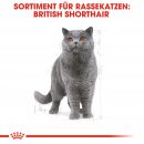 ROYAL CANIN British Shorthair Katzenfutter trocken f&uuml;r Britisch Kurzhaar 2 Kg