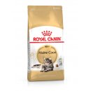 ROYAL CANIN Maine Coon Adult Katzenfutter trocken 4 Kg