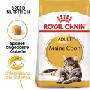 ROYAL CANIN Maine Coon Adult Katzenfutter trocken 4 Kg