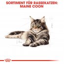 ROYAL CANIN Maine Coon Adult Katzenfutter trocken 4 Kg