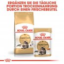 ROYAL CANIN Maine Coon Adult Katzenfutter trocken 4 Kg