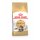 ROYAL CANIN Maine Coon Adult Katzenfutter trocken 4 Kg